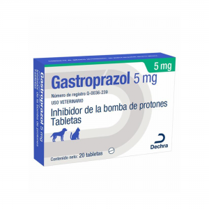 Gastritis